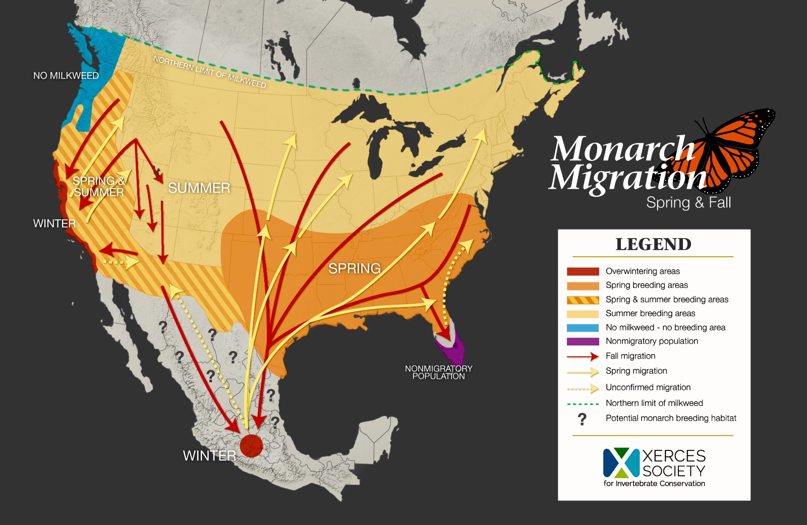 Nearly a billion Monarch butterflies have vanished since 1990