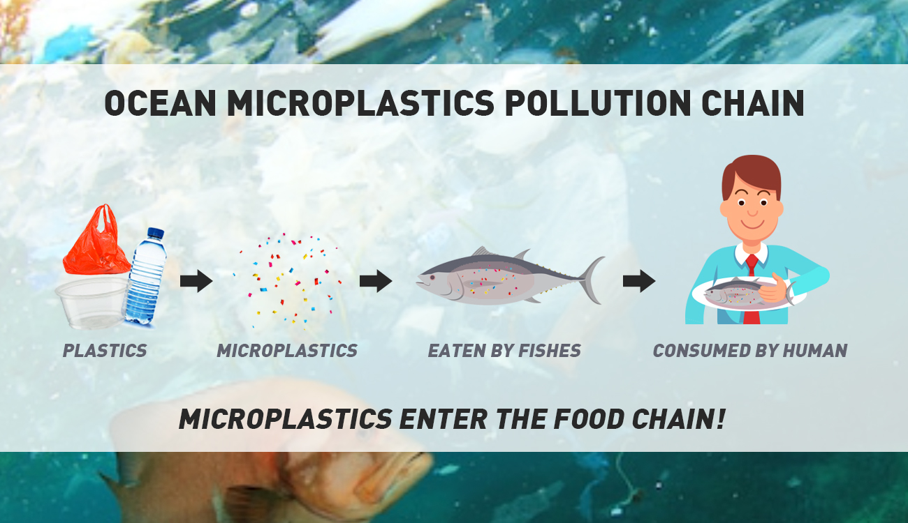 Microplastics: From Our Products to Our Plates – Bethesda Green
